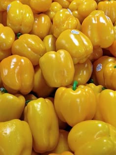 Yellow Capsicum (10 seeds)