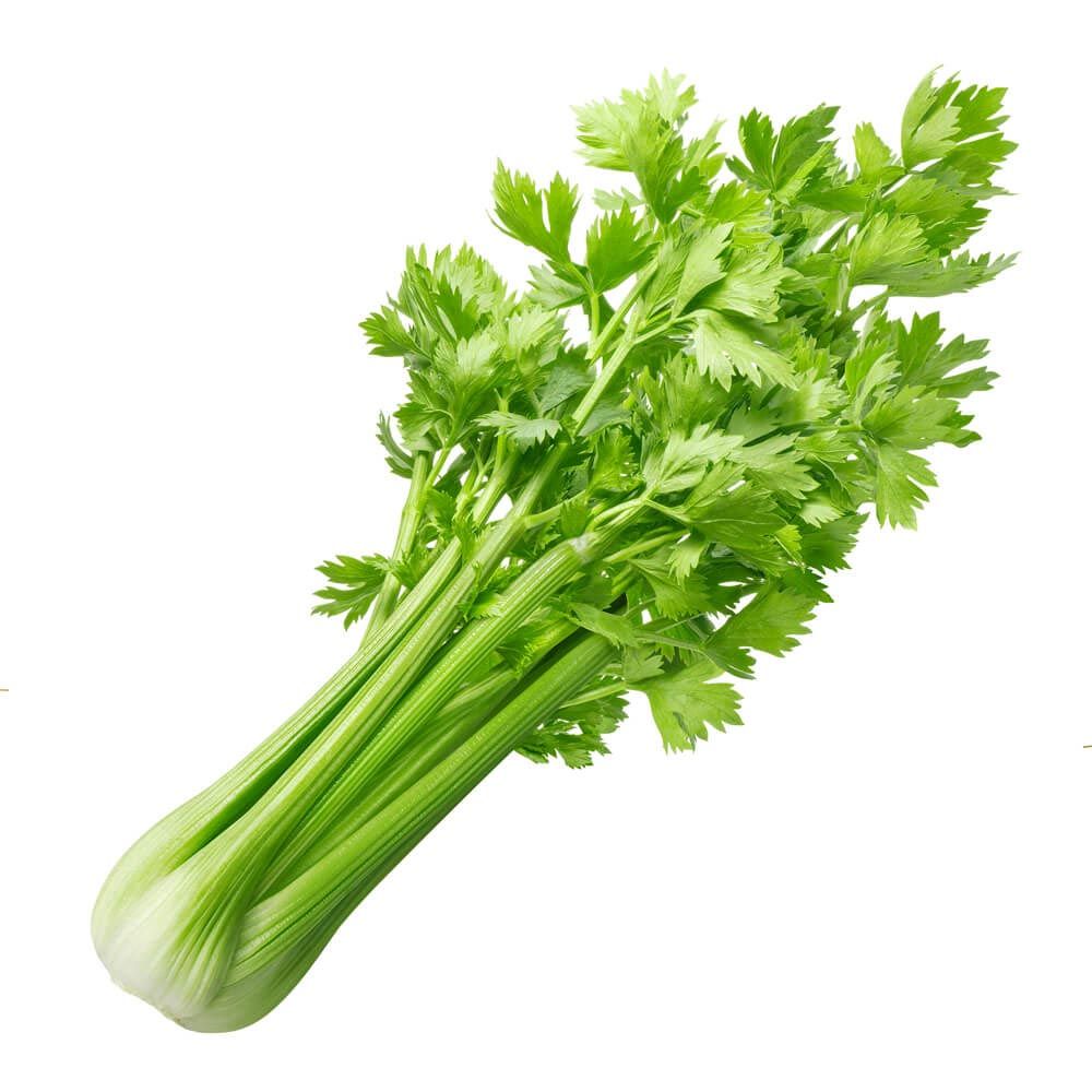 Celery(100+seeds)