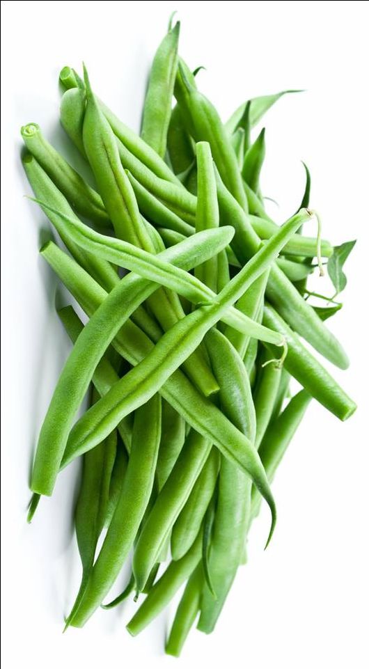 Fresh Beans (20+seeds)