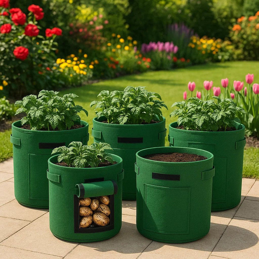 POTS AND GROW BAGS