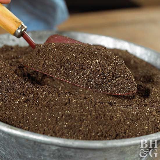Potting Mix