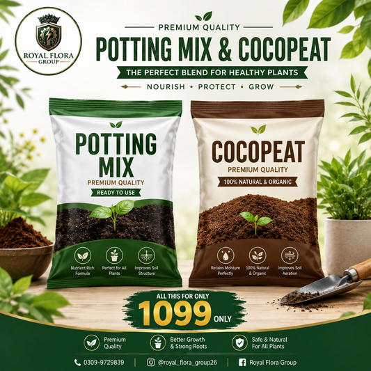 Pack Of Soil And Fertilizers (cocopeat,potting mix)