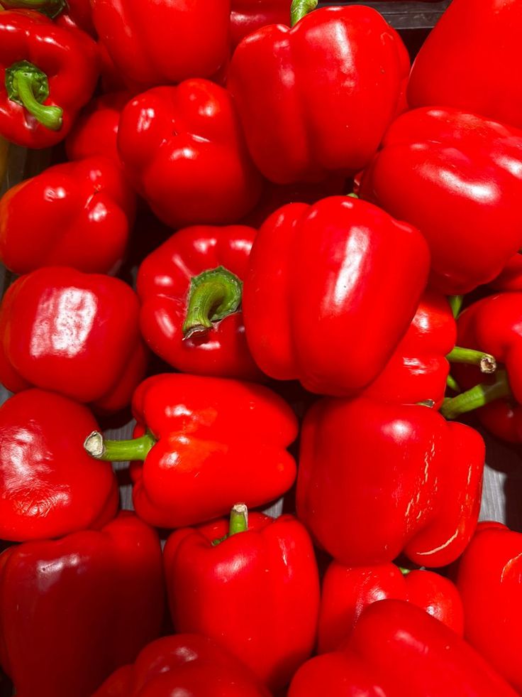 Red Capsicum (10 seeds)