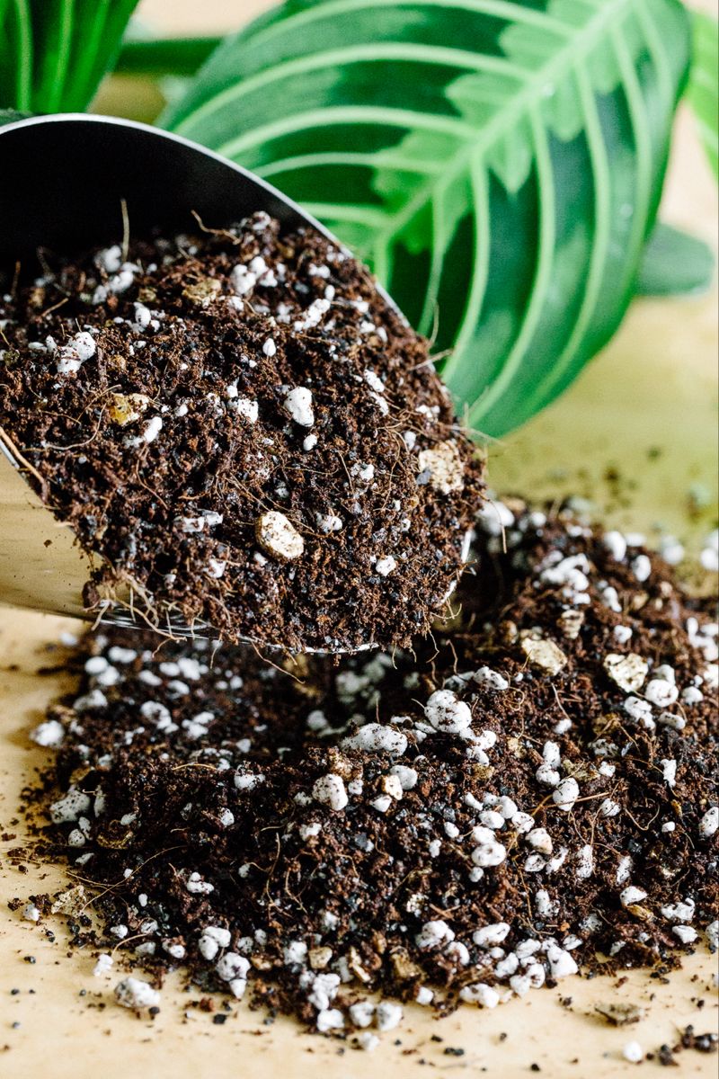 Pack Of Soil And Fertilizers (cocopeat,potting mix)