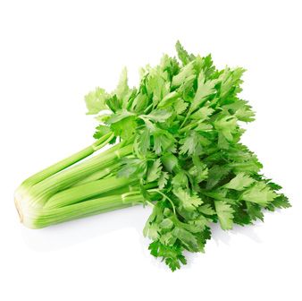 Celery(100+seeds)