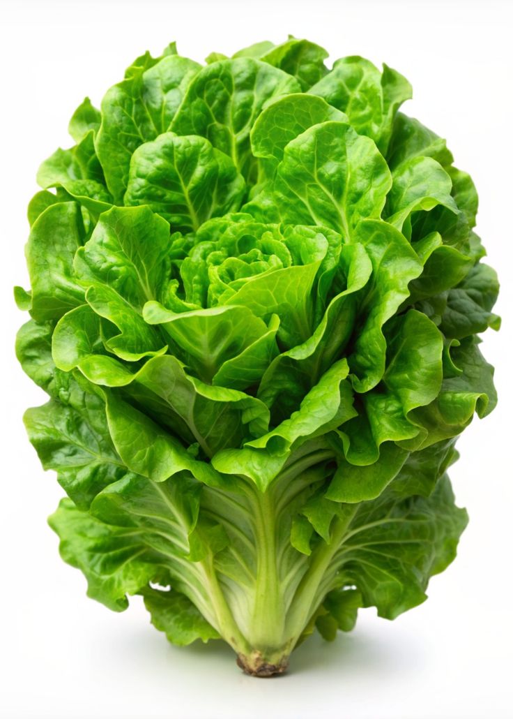 Leafy Lettuce (100+seeds)