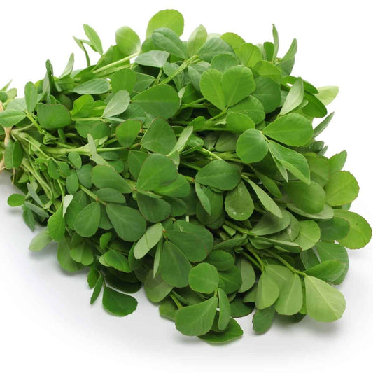 Fenugreek (500+seeds)