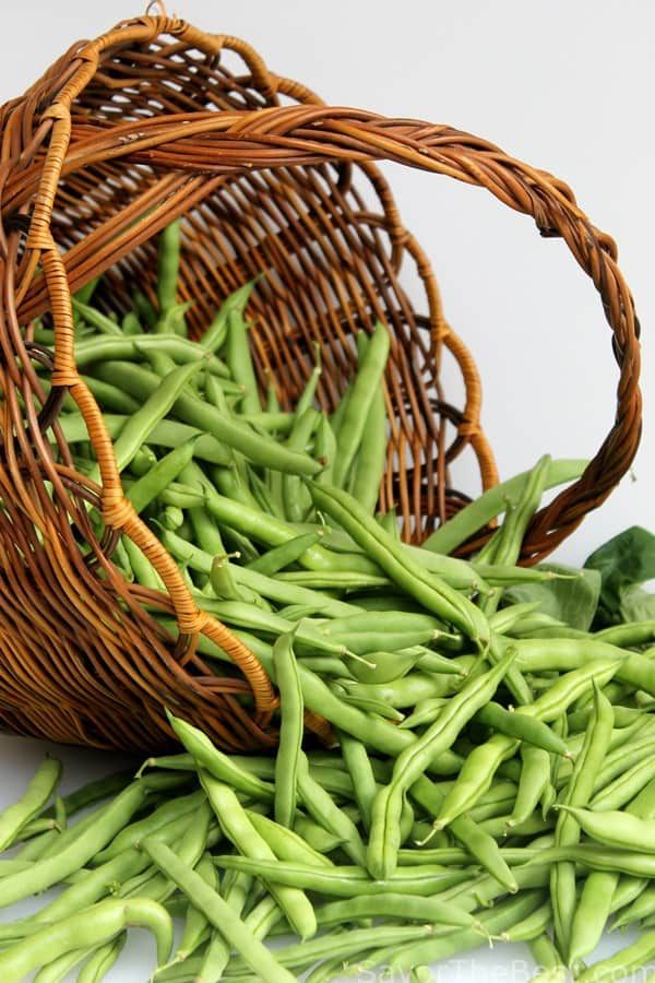Fresh Beans (20+seeds)