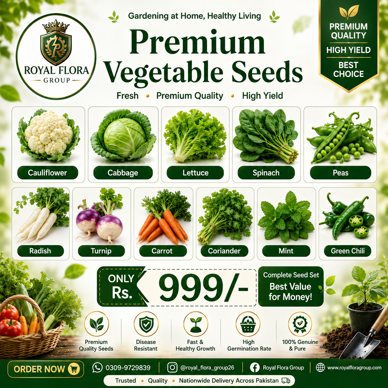 10 Vegetables Seeds Bundle
