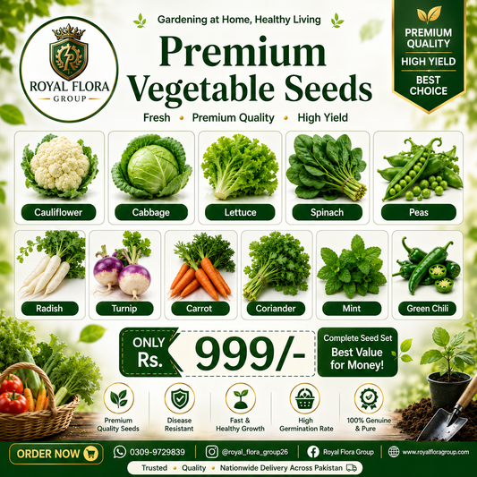 10 Vegetables Seeds Bundle