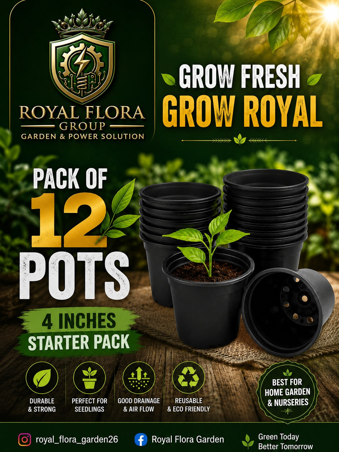 Pack of 12 Pots (4 inchs)
