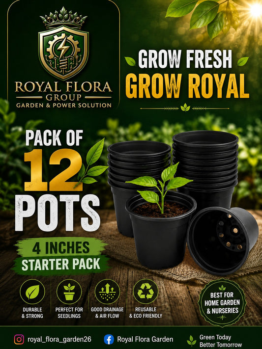 Pack of 12 Pots (4 inchs)