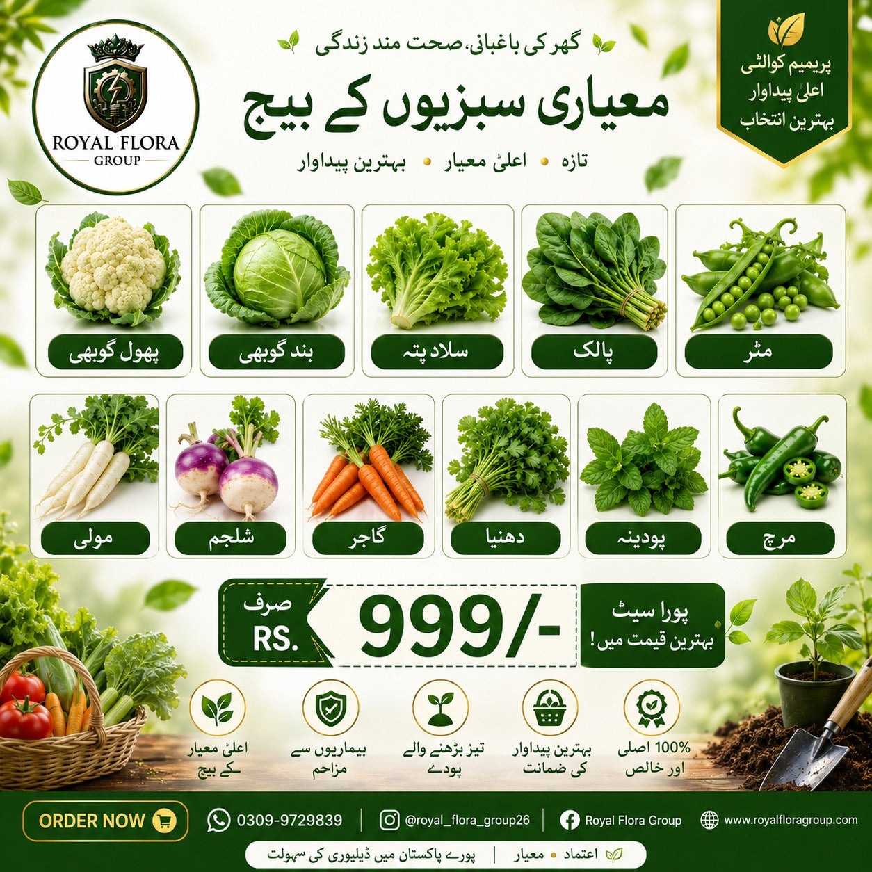 10 Vegetables Seeds Bundle