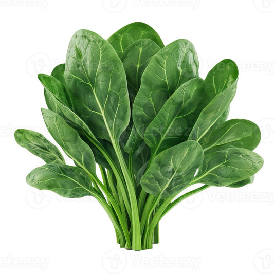 Spanich (300+seeds)