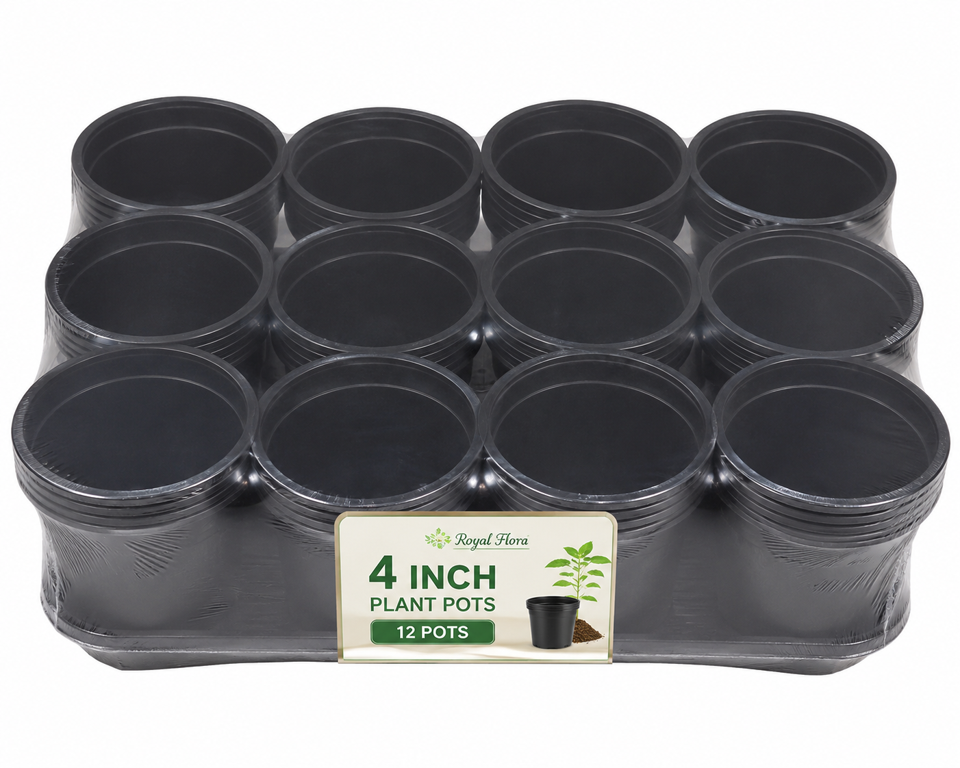 Pack of 12 Pots (4 inchs)