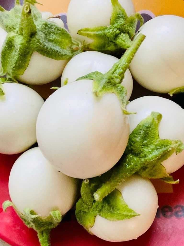 Egg Plant round white (20 seeds)