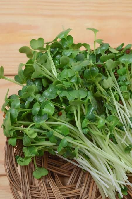 Fenugreek (500+seeds)