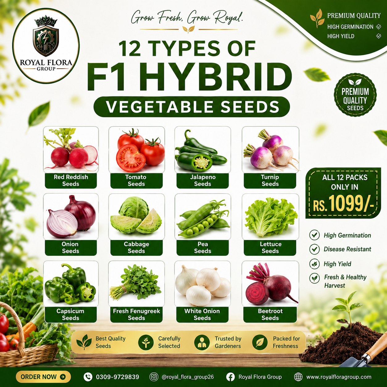 12 Vegetables Seeds Bundle