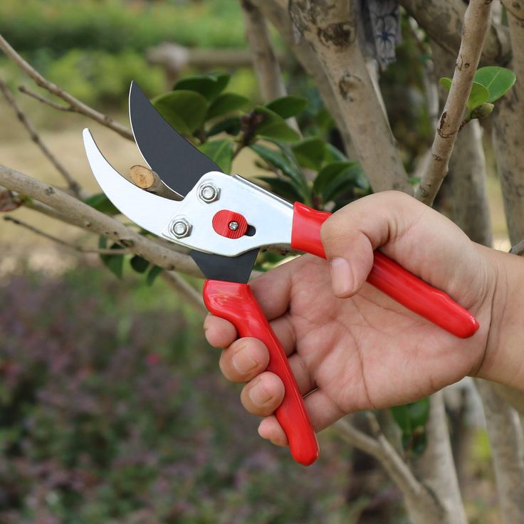 Hand Pruner