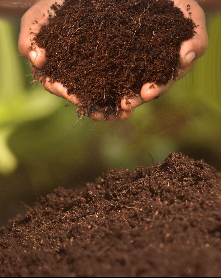 CocoPeat