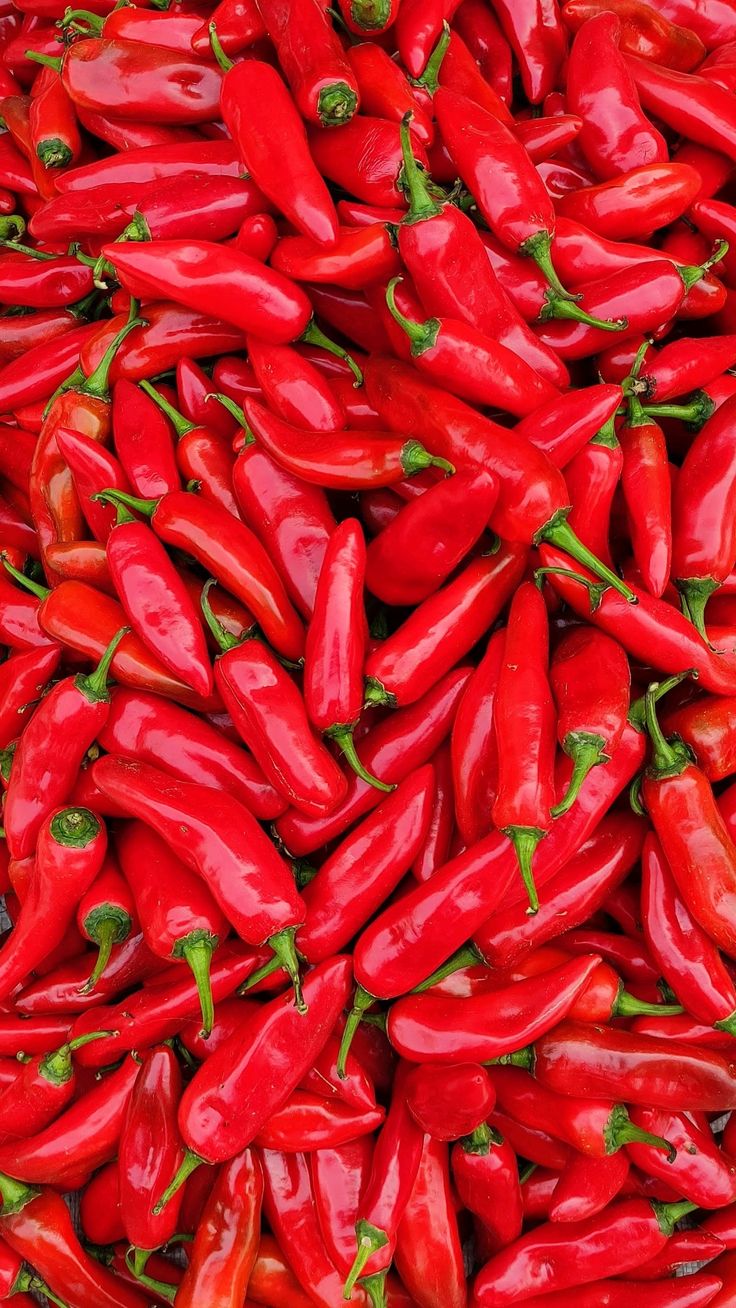 Red  Jalapeno (10+seeds)