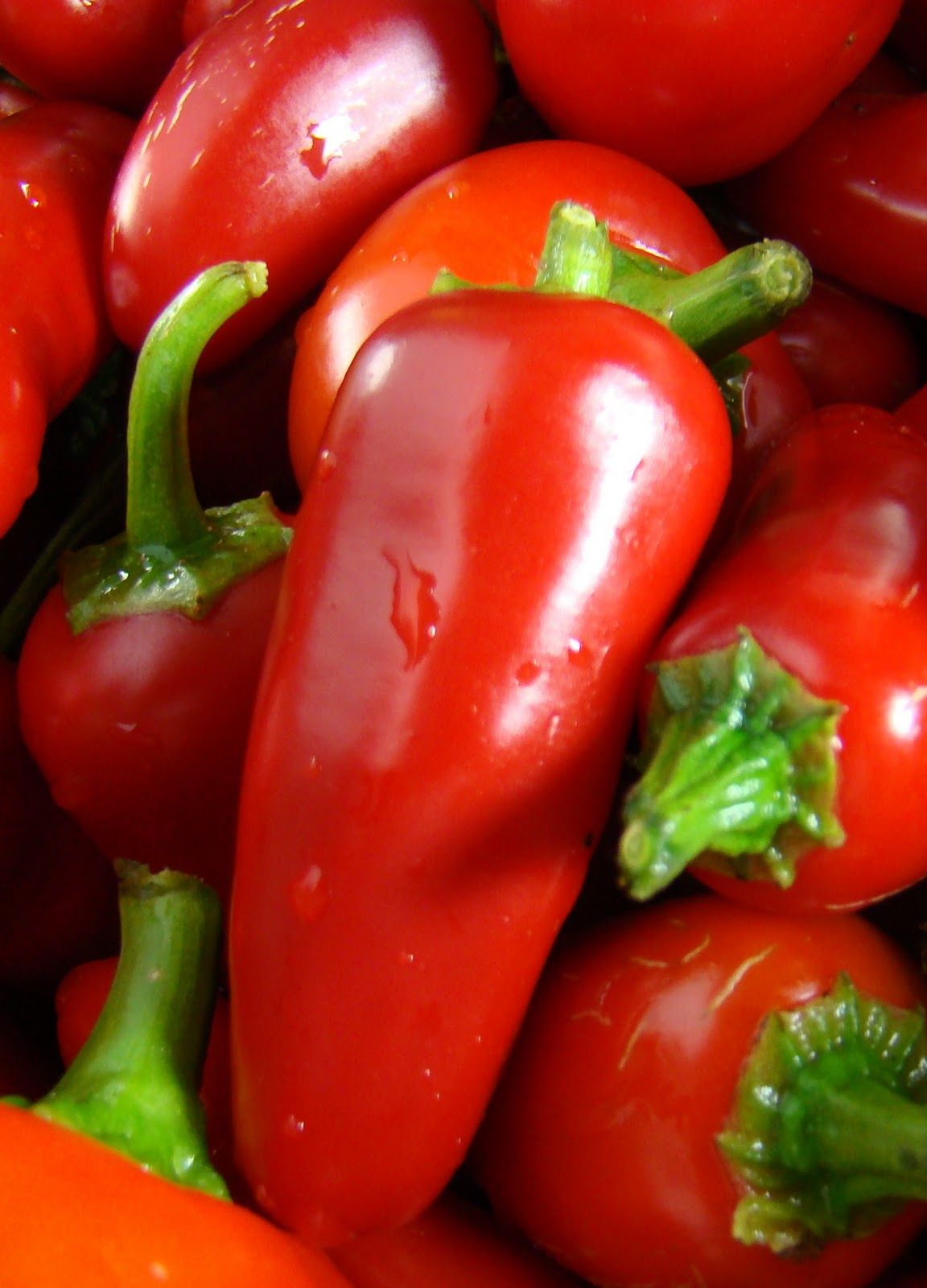 Red  Jalapeno (10+seeds)